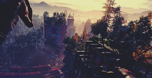 Dying Light 2: All Quiz Answers